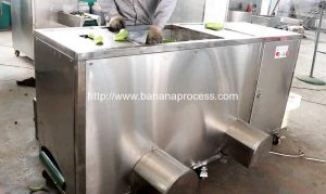 Double Inlet Green Plantain Peeling Machine for Indonesia Customer
