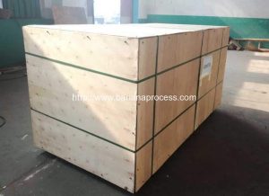 Double Inlet Green Plantain Banana Peeling Machine Delivery for Thailand Customer