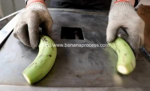 How to Use Green Banana Peeling Machine
