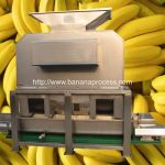 Máquina de pelado y despulpado de plátano maduro automático