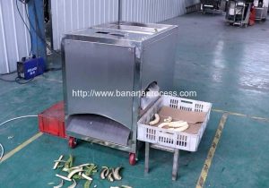 Green Plantain Banana Peeling Machine for Vietnam Customer