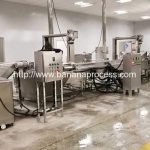 Automatic Banana Chips Production Line with Sugar Covering Machine